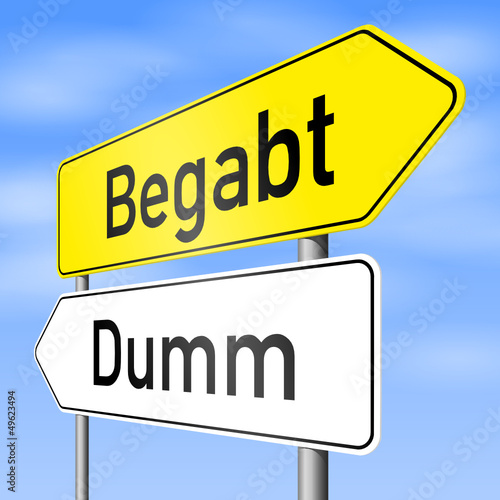 schild lr begabt dumm I