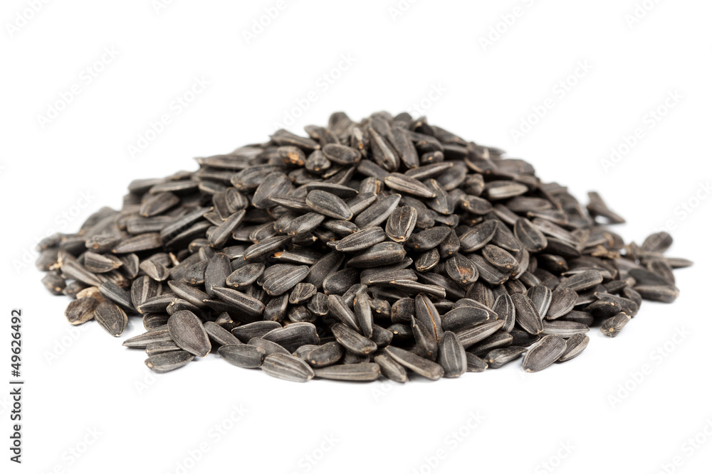 handful of sunflower seeds isolated on a white handful of sunflower seeds isolated on a white