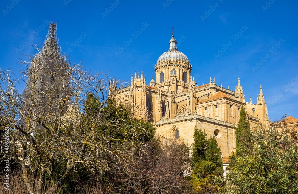 Salamanca Cathedral Behind Trees