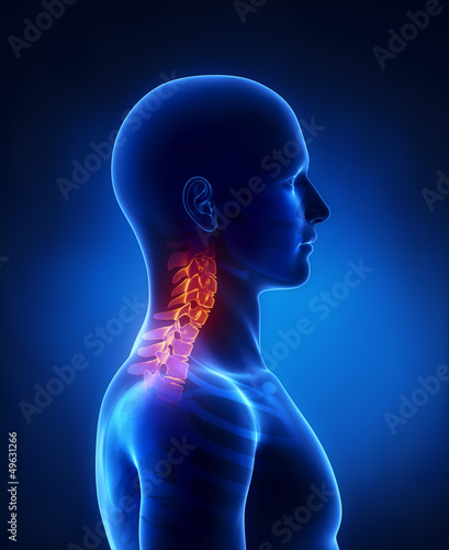 Cervical spine lateral view