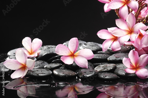 Set of frangipani with zen stones