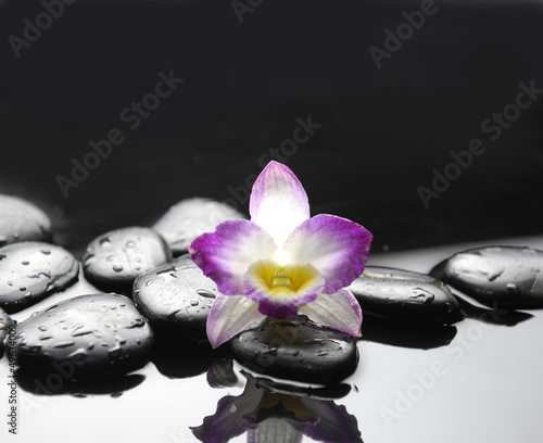 black stones and pink orchid with reflection