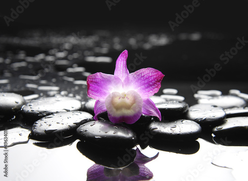 still life with single pink orchid on pebble in water drop