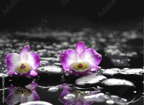 Set of two orchid and black stones on wet background