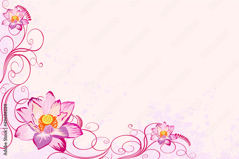 Pink water lily or pink lotus as background Pink water lily or pink lotus as background