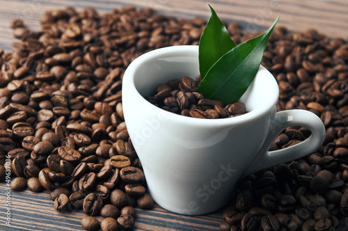 coffee cup with fresh leaf © dimasobko