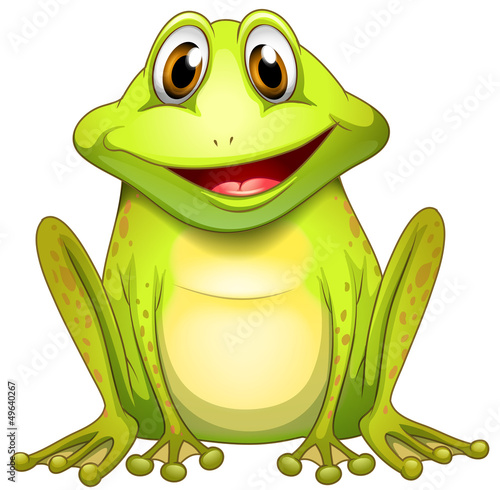 A smiling frog