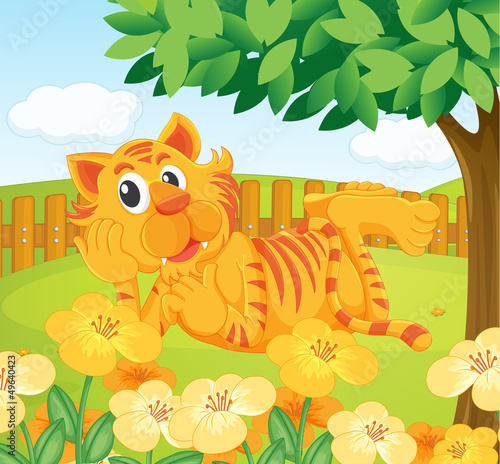 A tiger in the fenced garden