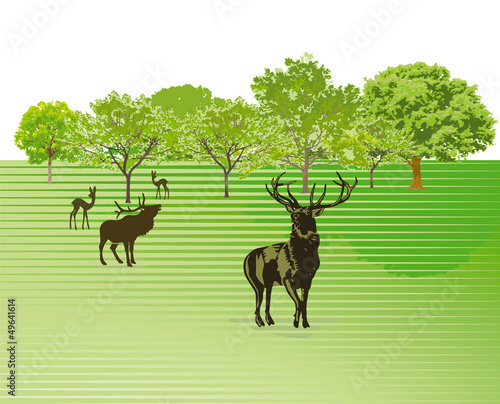 Hirsche auf der Wiese