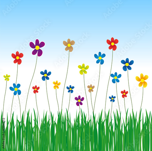 spring meadow