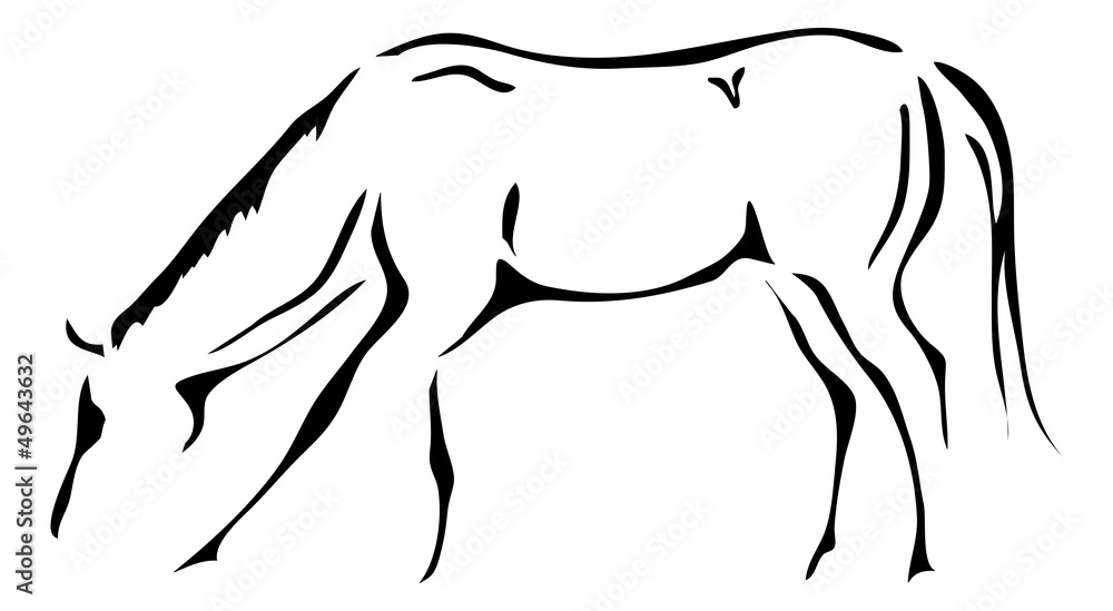 black and white vector outlines of horse Stock Vector | Adobe Stock