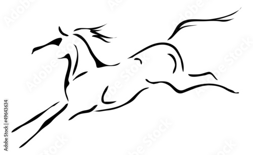 black and white vector outlines of horse