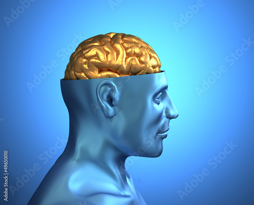 Head with golden brain