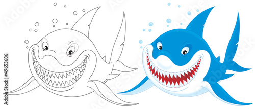 Great white shark