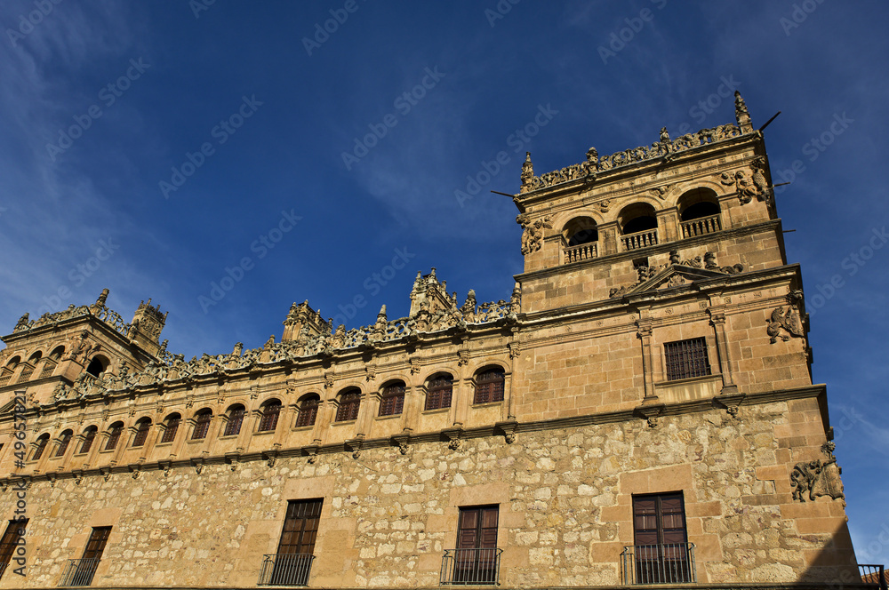 Palacio de Monterrey. Salamanca.