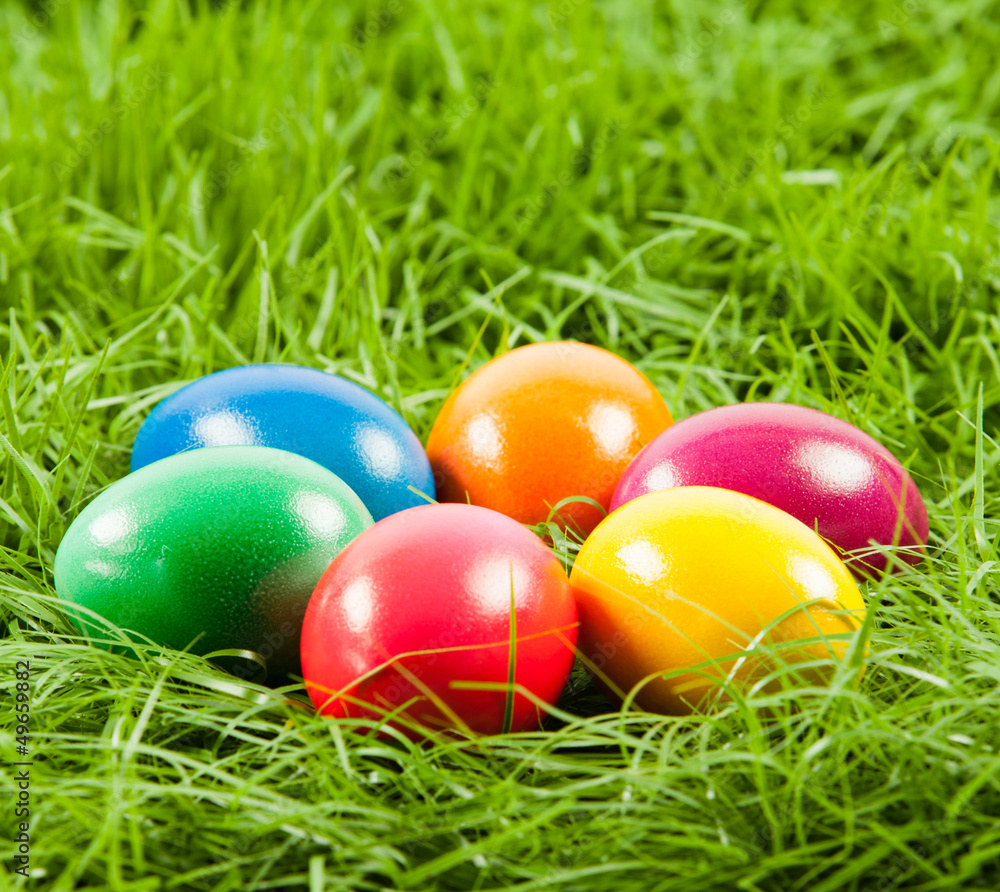 Easter eggs in Fresh Green Grass .