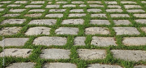 herbe entre pavés