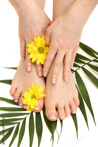 Fototapeta Naklejka Na Ścianę i Meble -  Beautiful woman legs and hands, isolated on white