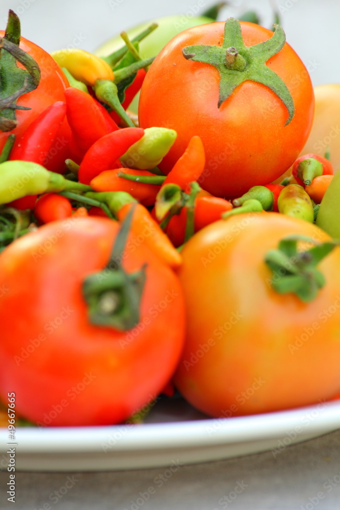 Vegetables tomato and chili Vegetables tomato and chili