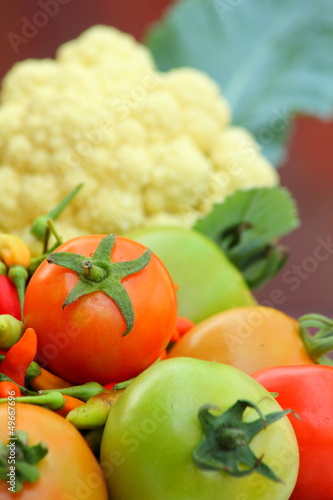 Fototapeta Naklejka Na Ścianę i Meble -  Vegetables Tomato  and cauliflower