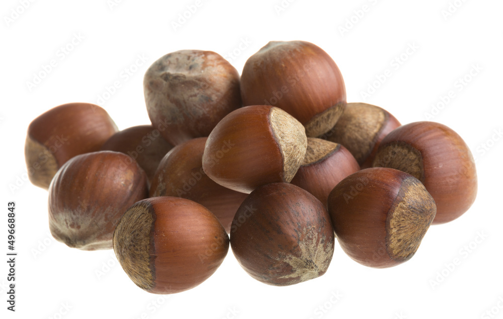 Dried hazelnuts Dried hazelnuts