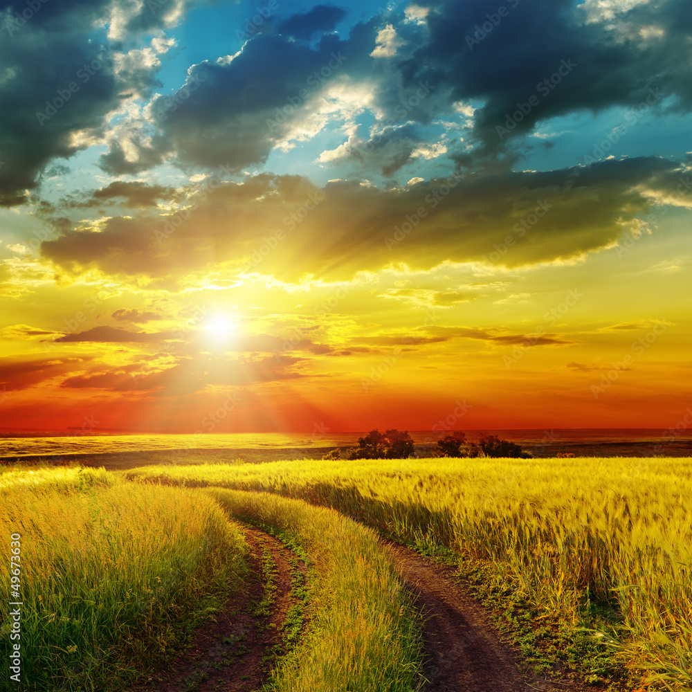 Fototapeta premium sunset over rural road near green field