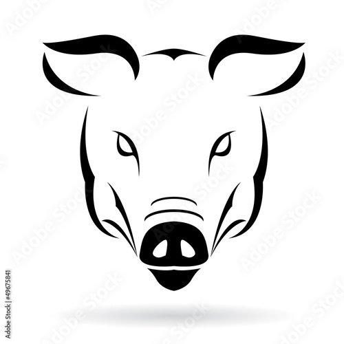 Vector image of a pig on a white background