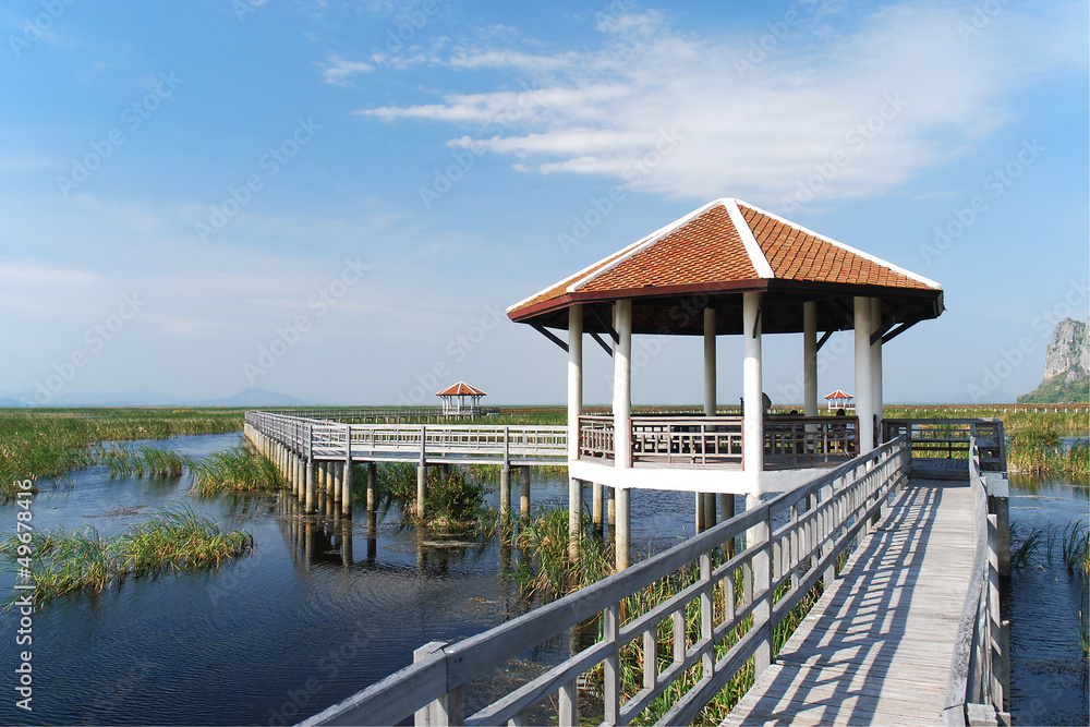 Bridge to pavilion in lotus lake