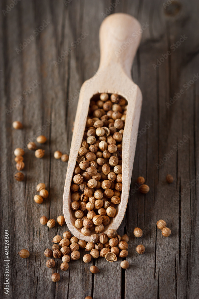 Coriander. Coriander.