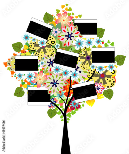 Tree with black frame