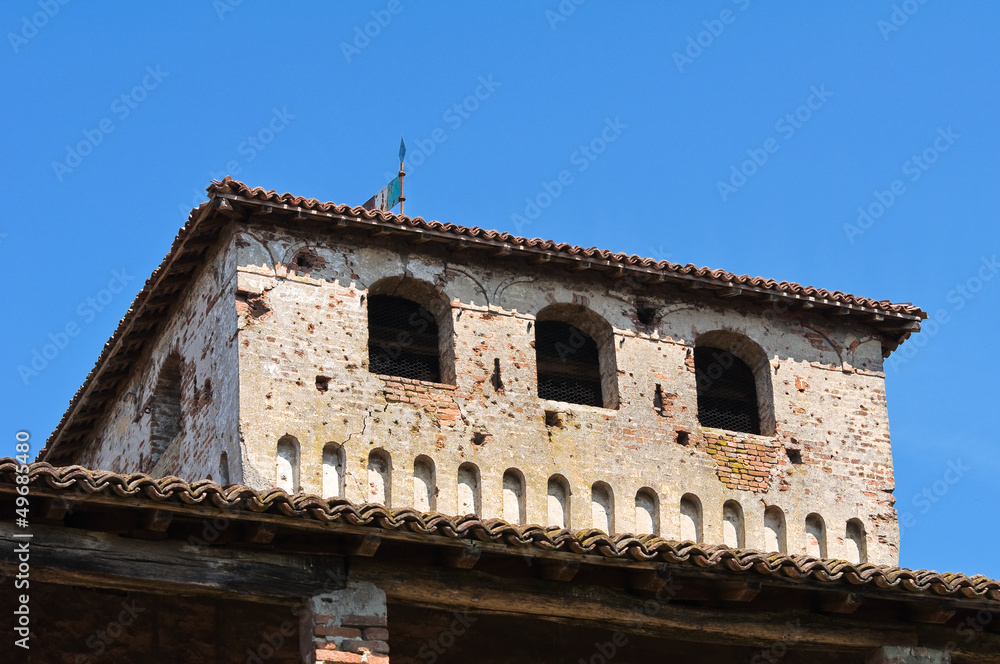 Obraz premium Castle of Roccabianca. Emilia-Romagna. Italy.