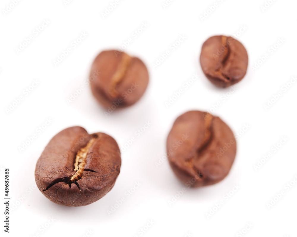 coffee beans isolated coffee beans isolated