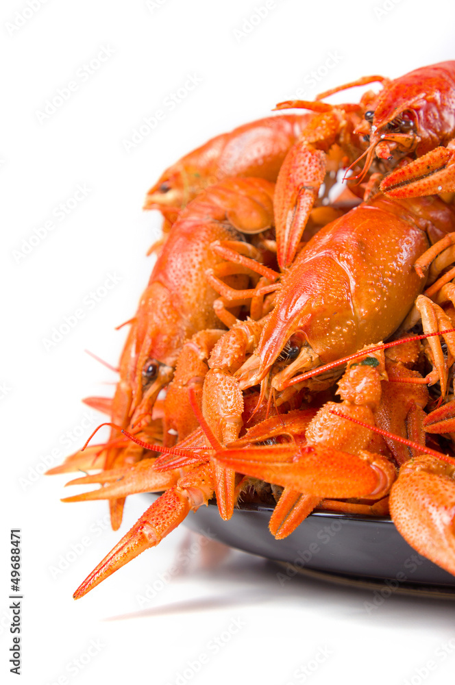 Red boiled crayfish on white large dish on white background