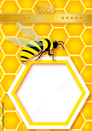 Honeycomb and bees. Vector background