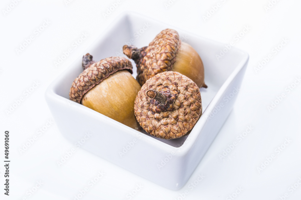 Three acorns Three acorns