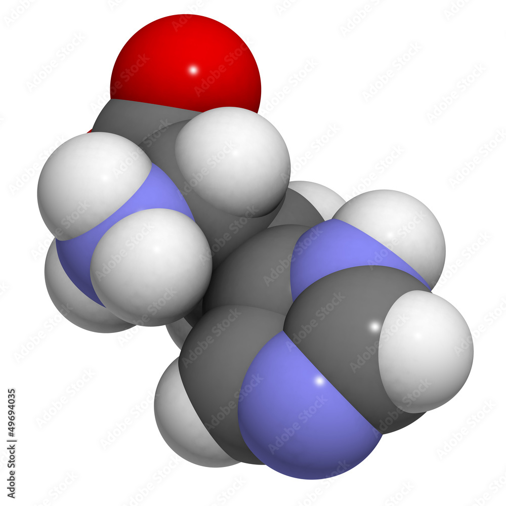 Histidine (His, H) amino acid, molecular model. Histidine (His, H) amino acid, molecular model.