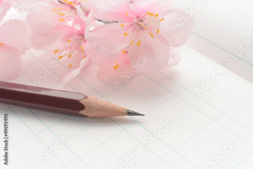 Canvastavla 新入学イメージ―桜と鉛筆