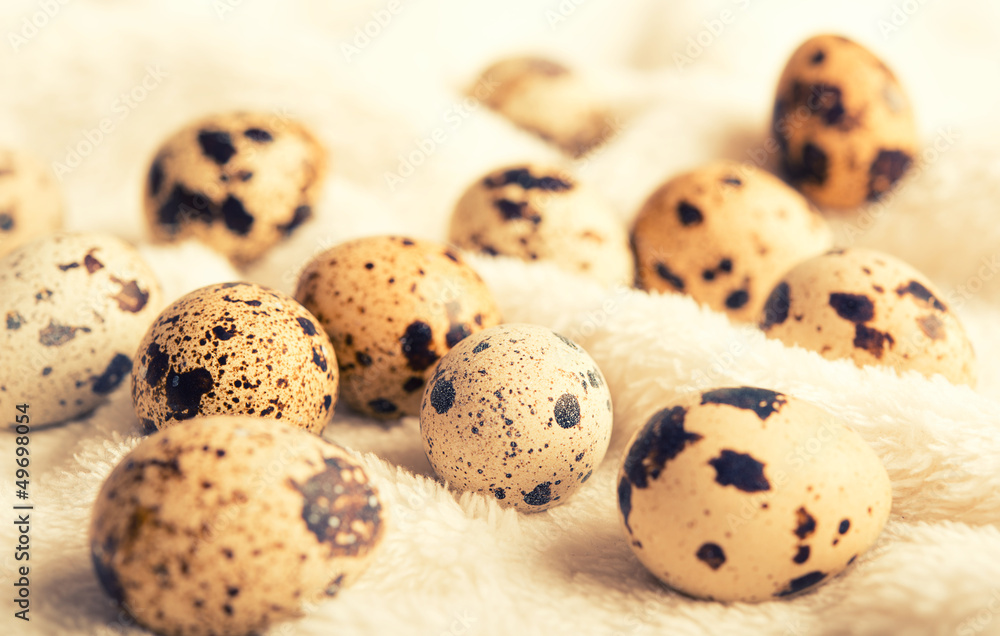 Quail eggs. healthy eating