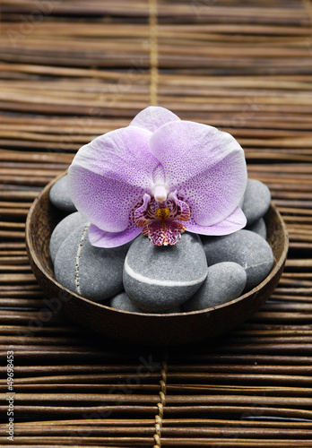 Single orchid with  gray stones in bowl on bamboo mat
