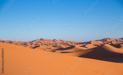 Skyline of dunes and people