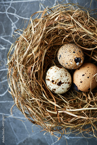 Three quail's eggs in a nest