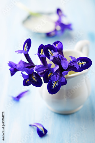 Fototapeta Naklejka Na Ścianę i Meble -  Purple iris flowers in a vintage cup
