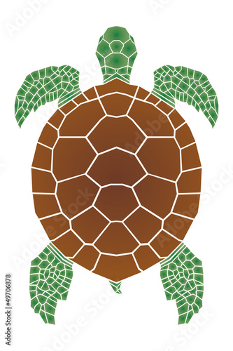 Sea turtle