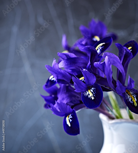 Fototapeta Naklejka Na Ścianę i Meble -  Spring iris flowers in a vase