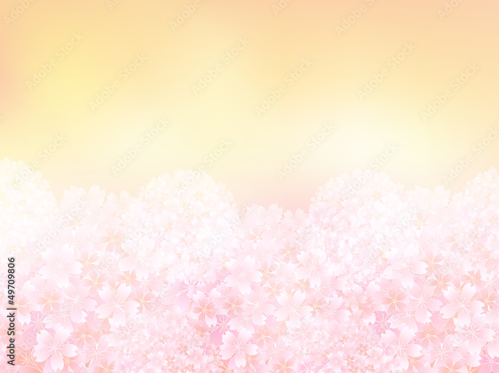 桜 さくら 背景 春 Stock ベクター Adobe Stock