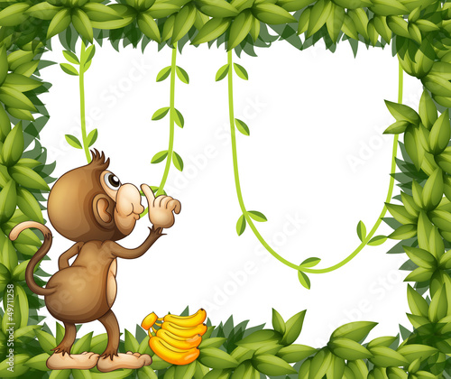 A monkey with banana and the green frame