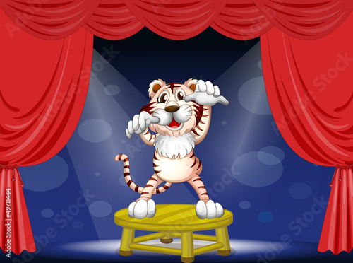 A tiger above a round table