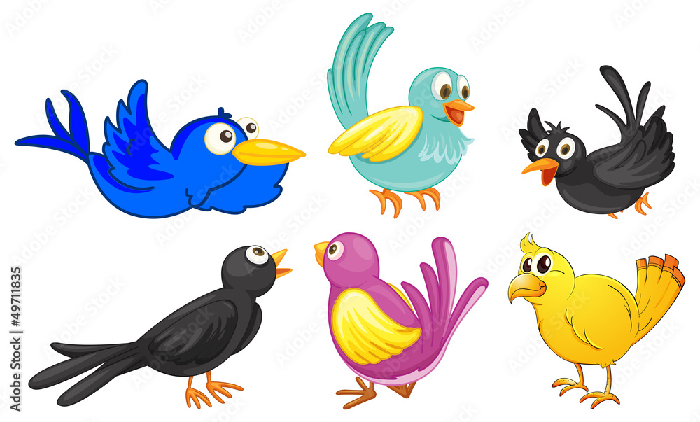 Birds with different colors