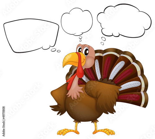 A turkey with empty thoughts