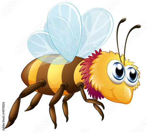 A colorful bee